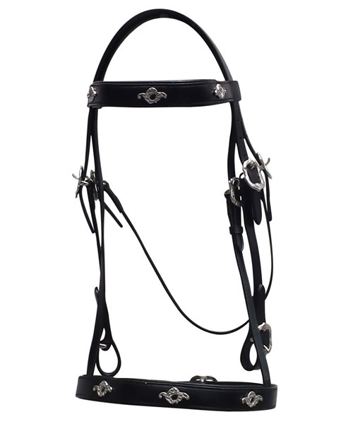 PORTUGUESE-BRIDLE-DD-LTH