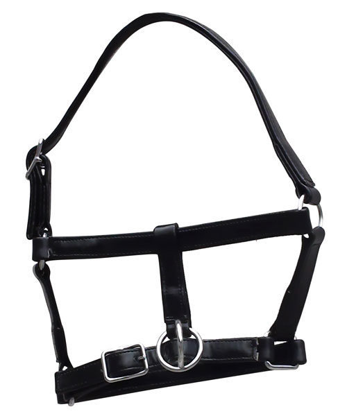 PVC-FOAL-HALTER