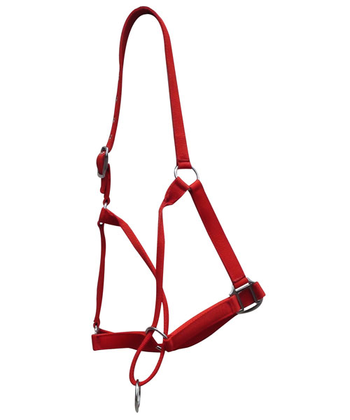 PP-ECOMONY-HALTER-RED